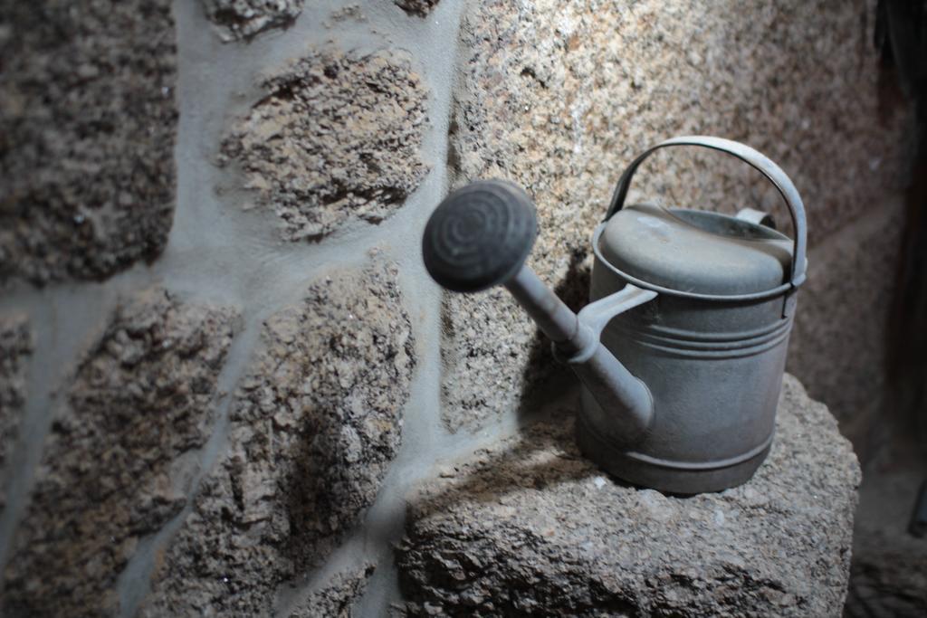 Quinta Casa Da Fonte Villa Vieira do Minho Dış mekan fotoğraf