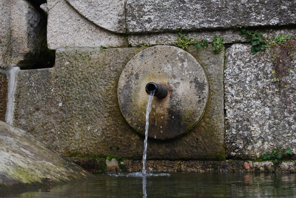 Quinta Casa Da Fonte Villa Vieira do Minho Dış mekan fotoğraf